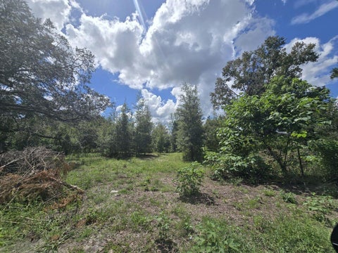 Photo of St. Paul Dr, Spring Hill, FL 34610 (MLS # TB8550409)