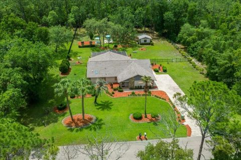 Photo of 1212 W Redding St. St, Hernando, FL 34442 (MLS # OM724216)