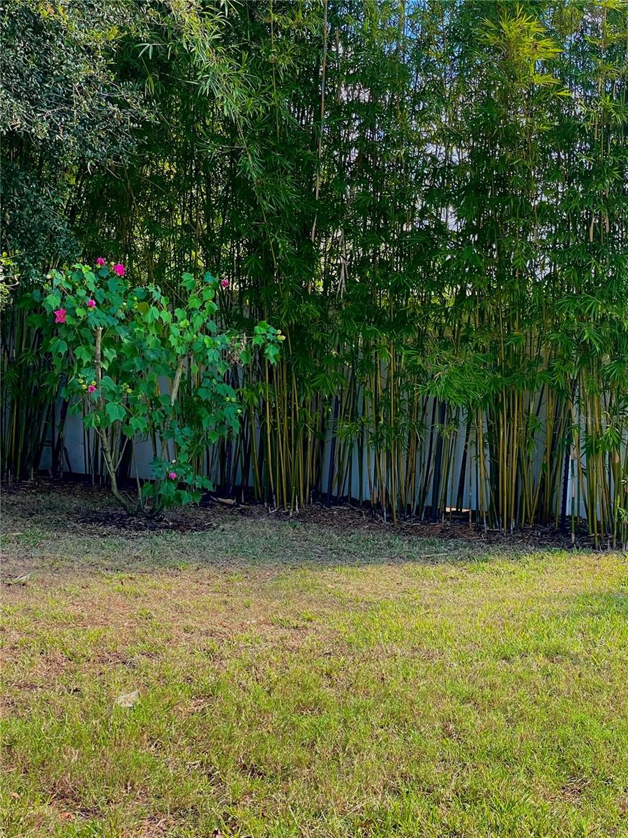 OAK RIDGE PH 2 - Residential