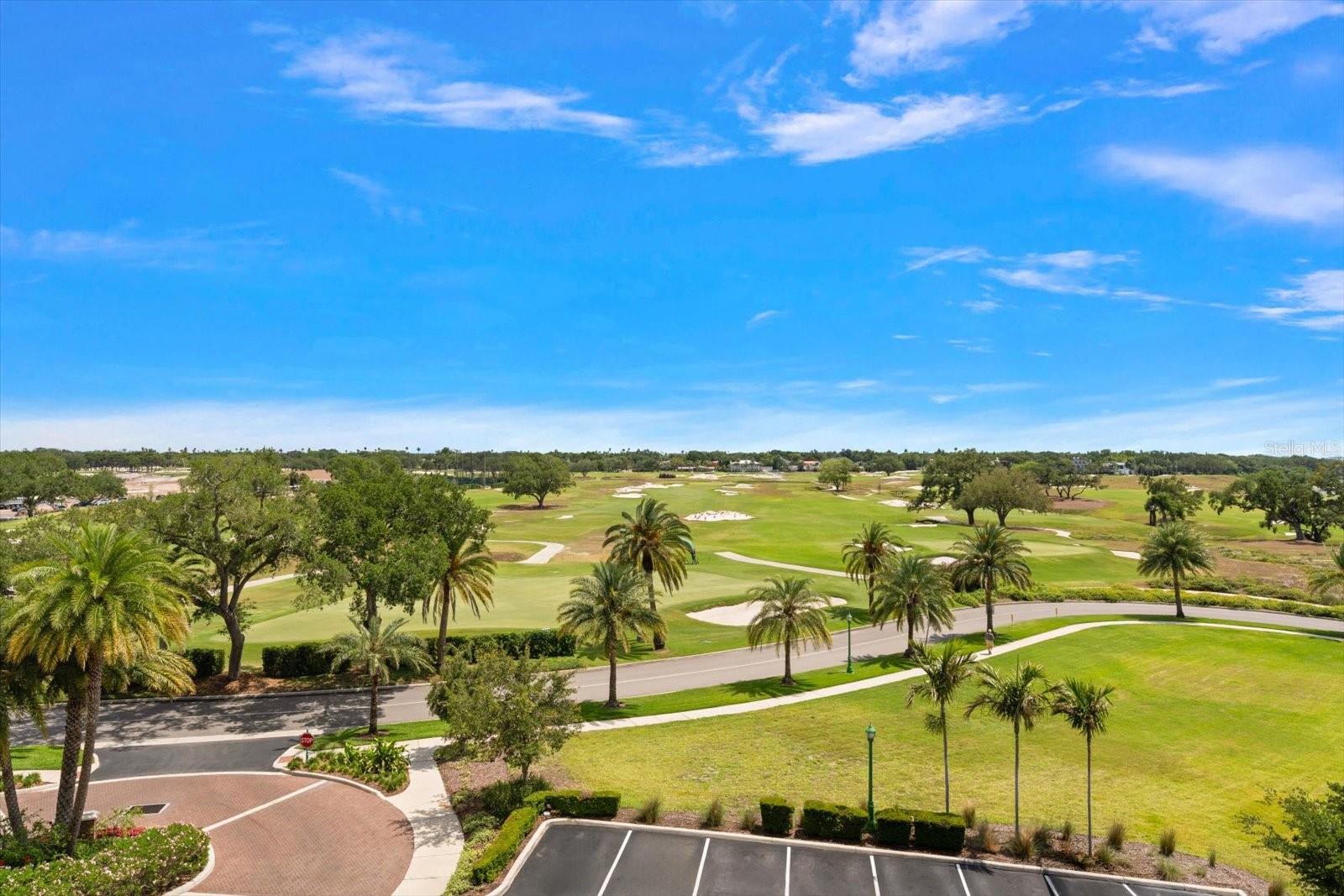 RESIDENCES AT BELLEVIEW PLACE CONDO - Residential