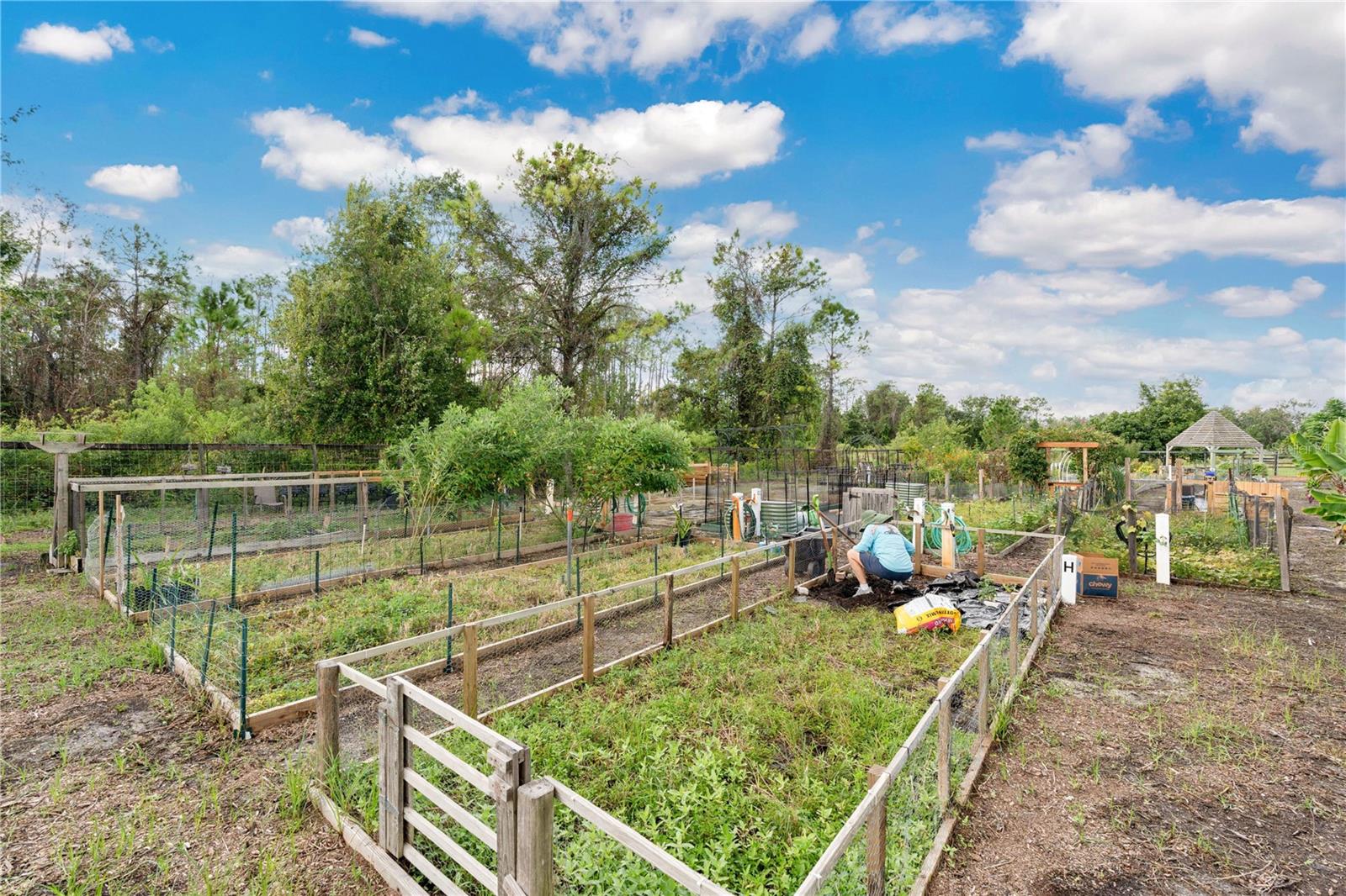 BIRCHWOOD NBHDS B & C - Residential