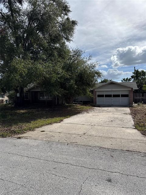 A home in MOUNT DORA