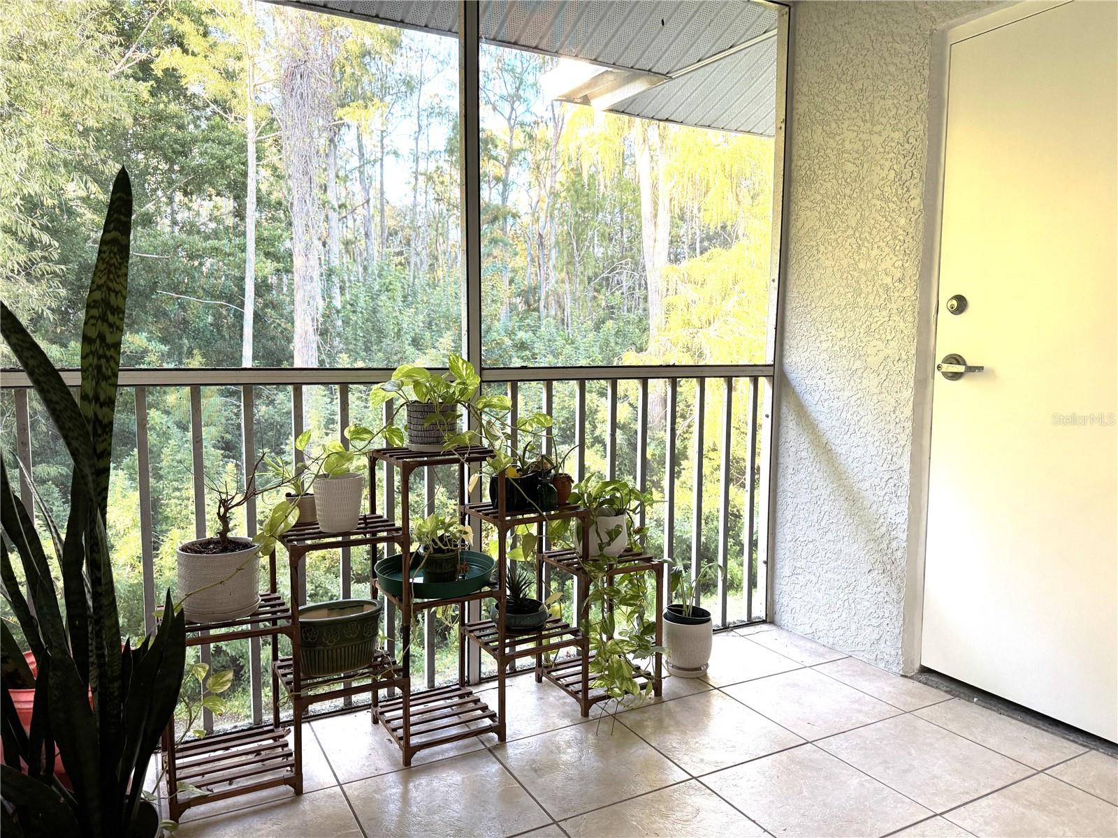 COVE/SIX MILE CYPRESS CONDO - Residential