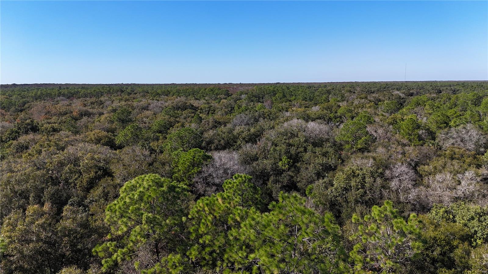 ACREAGE HEADER - Land