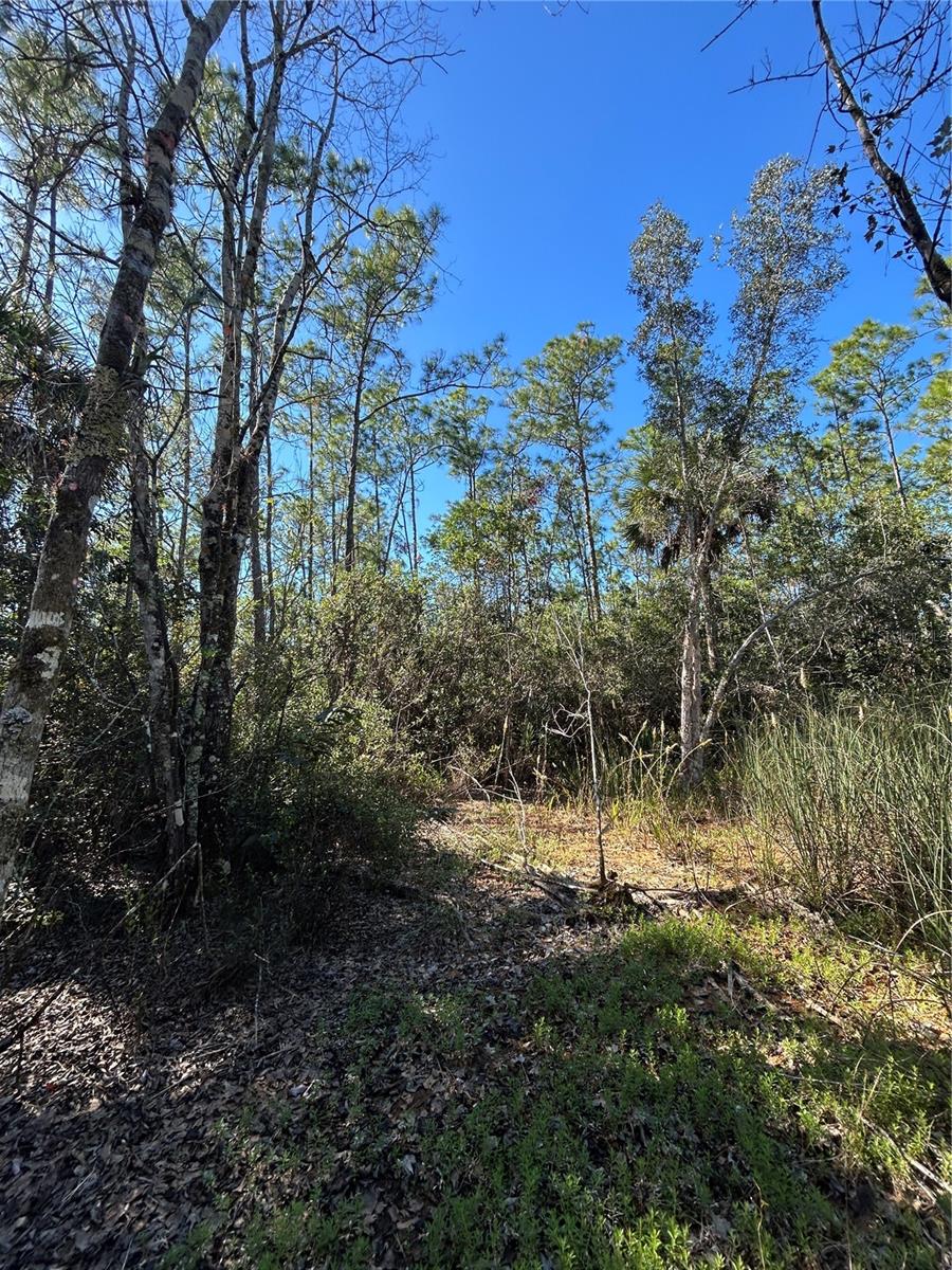 ACREAGE HEADER - Land