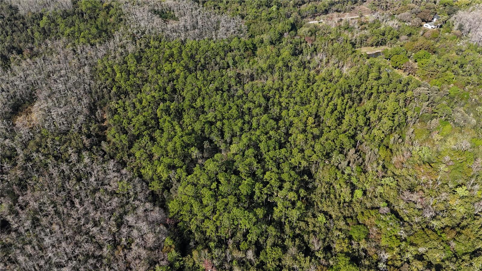 ACREAGE HEADER - Land