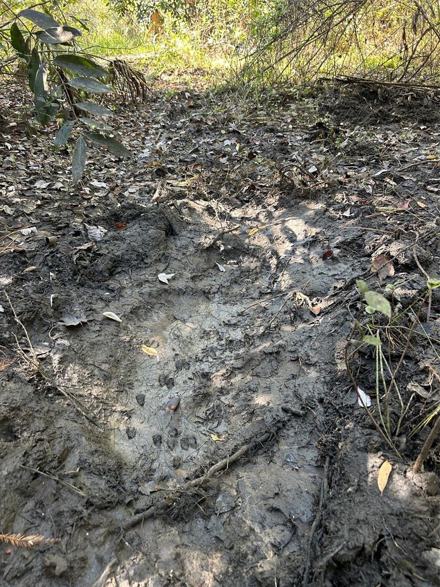 ACREAGE HEADER - Land