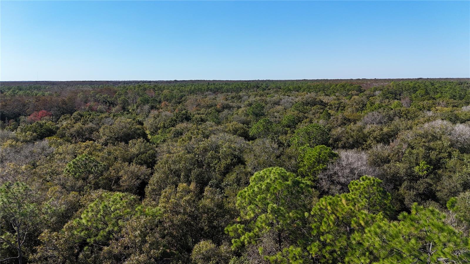 ACREAGE HEADER - Land