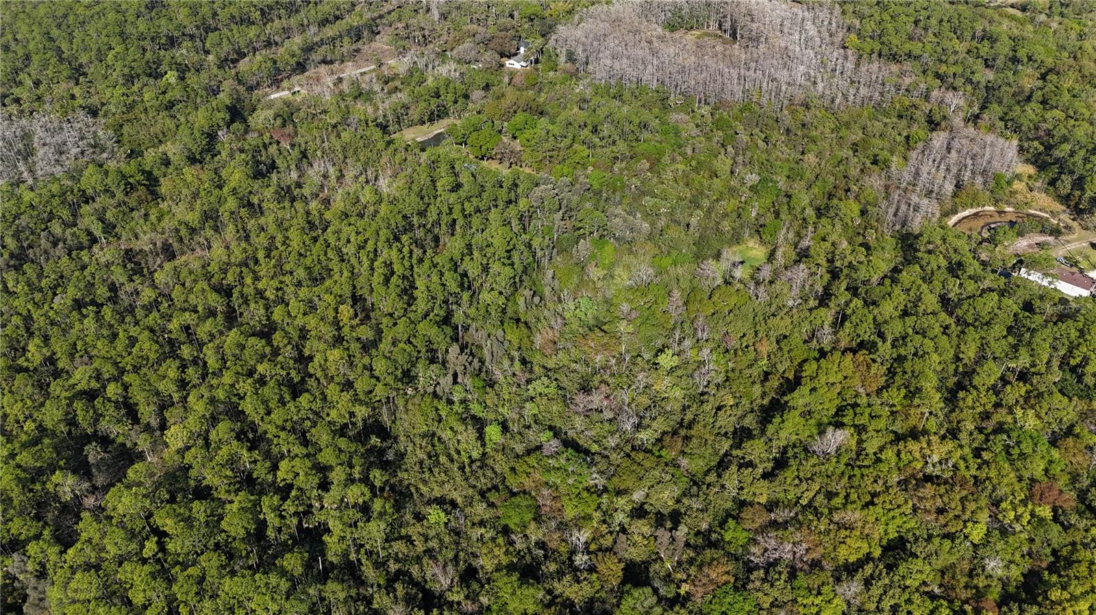 ACREAGE HEADER - Land