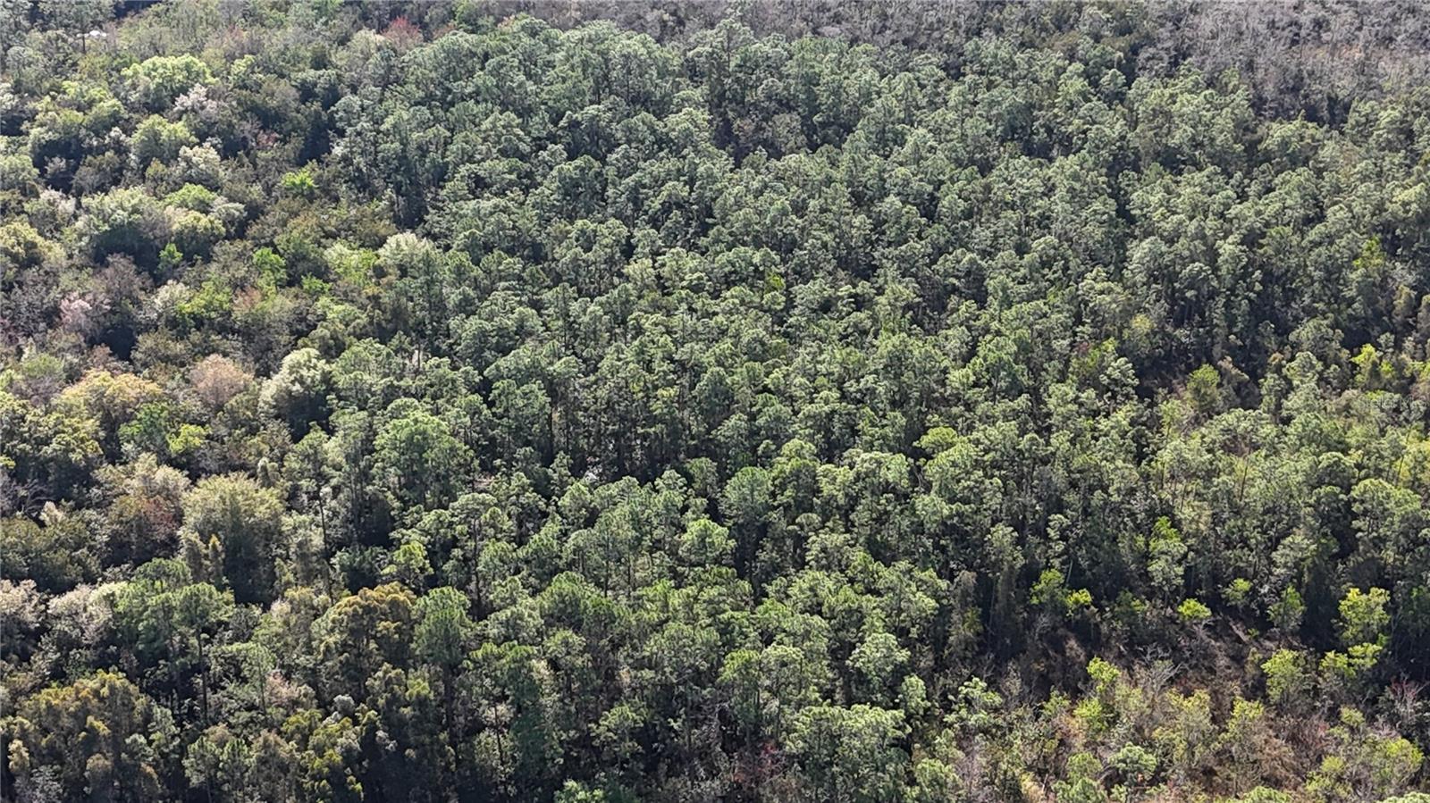 ACREAGE HEADER - Land