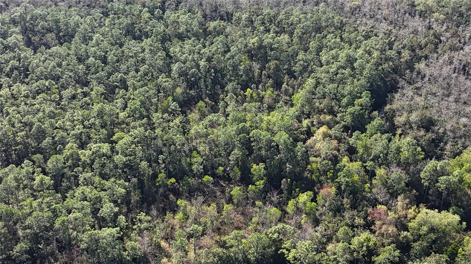 ACREAGE HEADER - Land