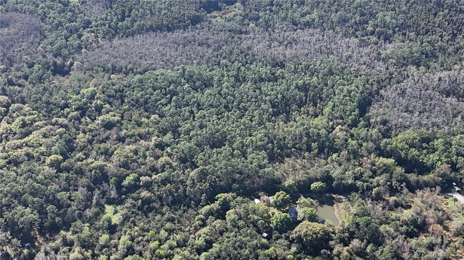 ACREAGE HEADER - Land