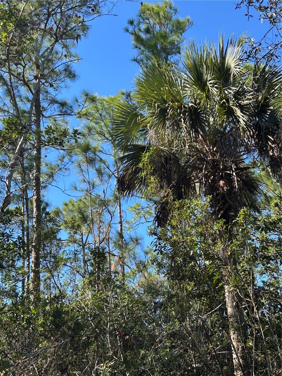 ACREAGE HEADER - Land