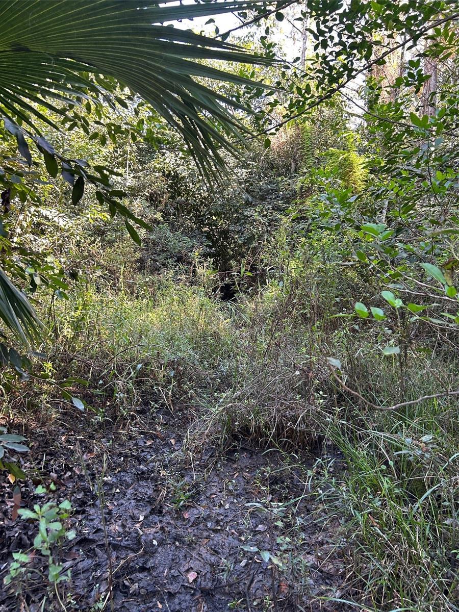 ACREAGE HEADER - Land