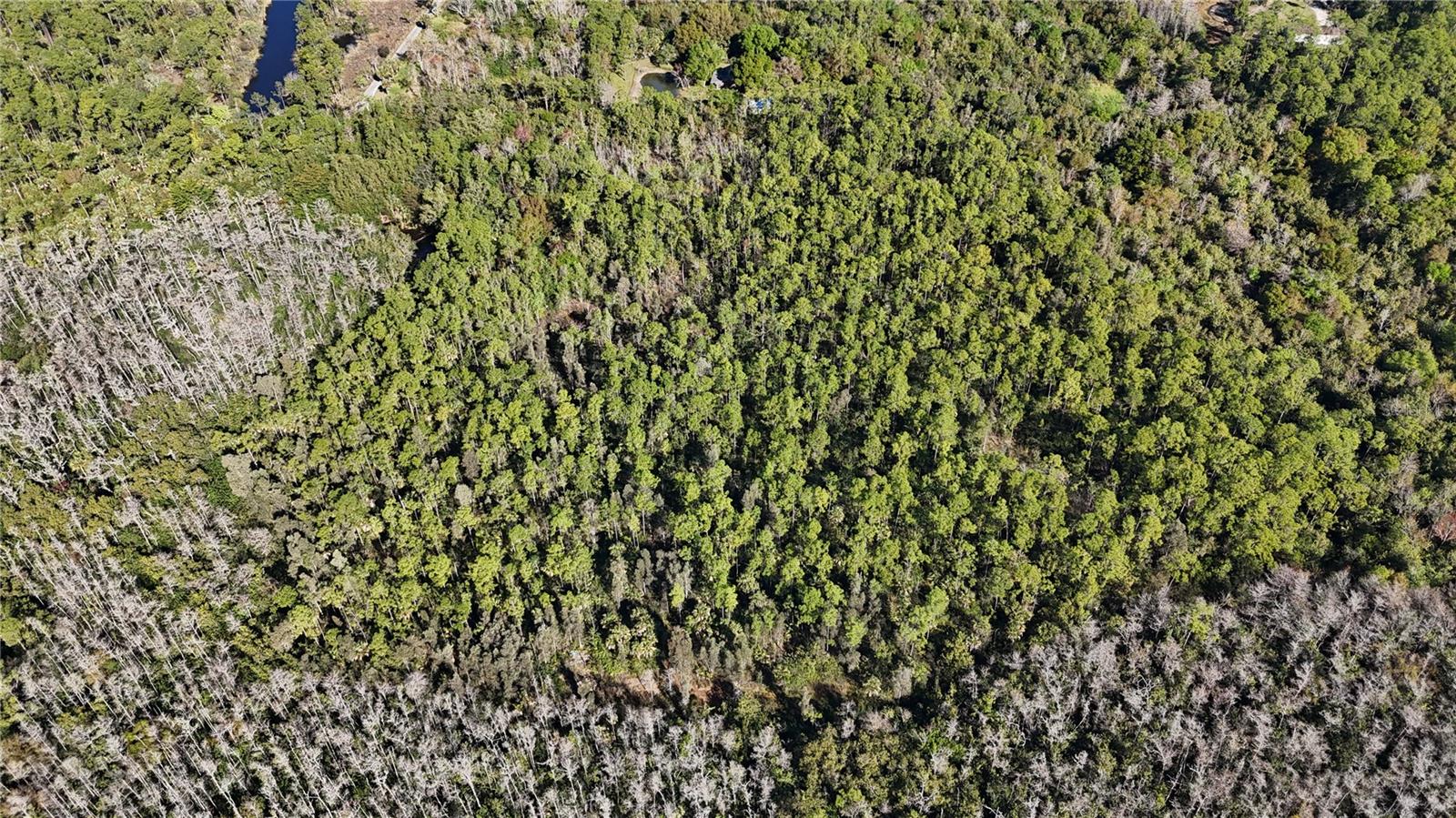 ACREAGE HEADER - Land