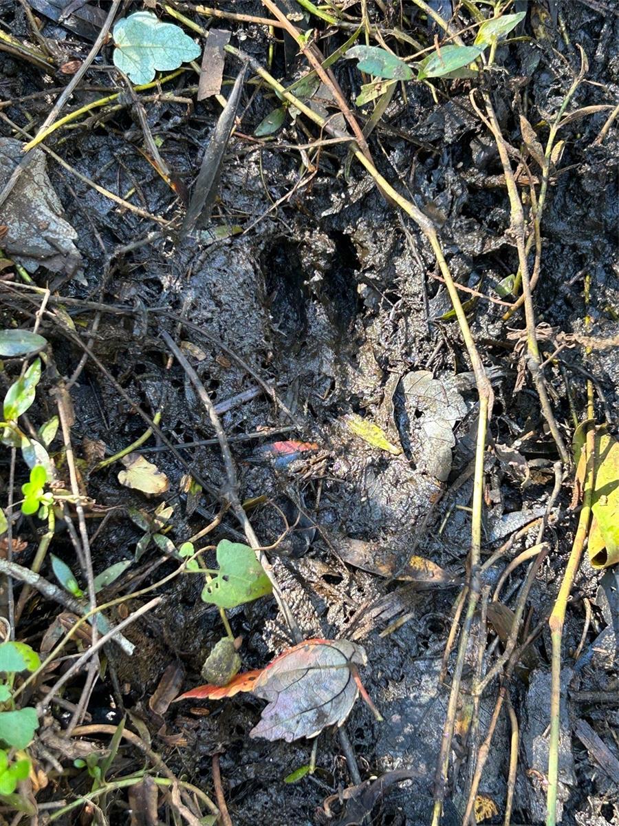 ACREAGE HEADER - Land