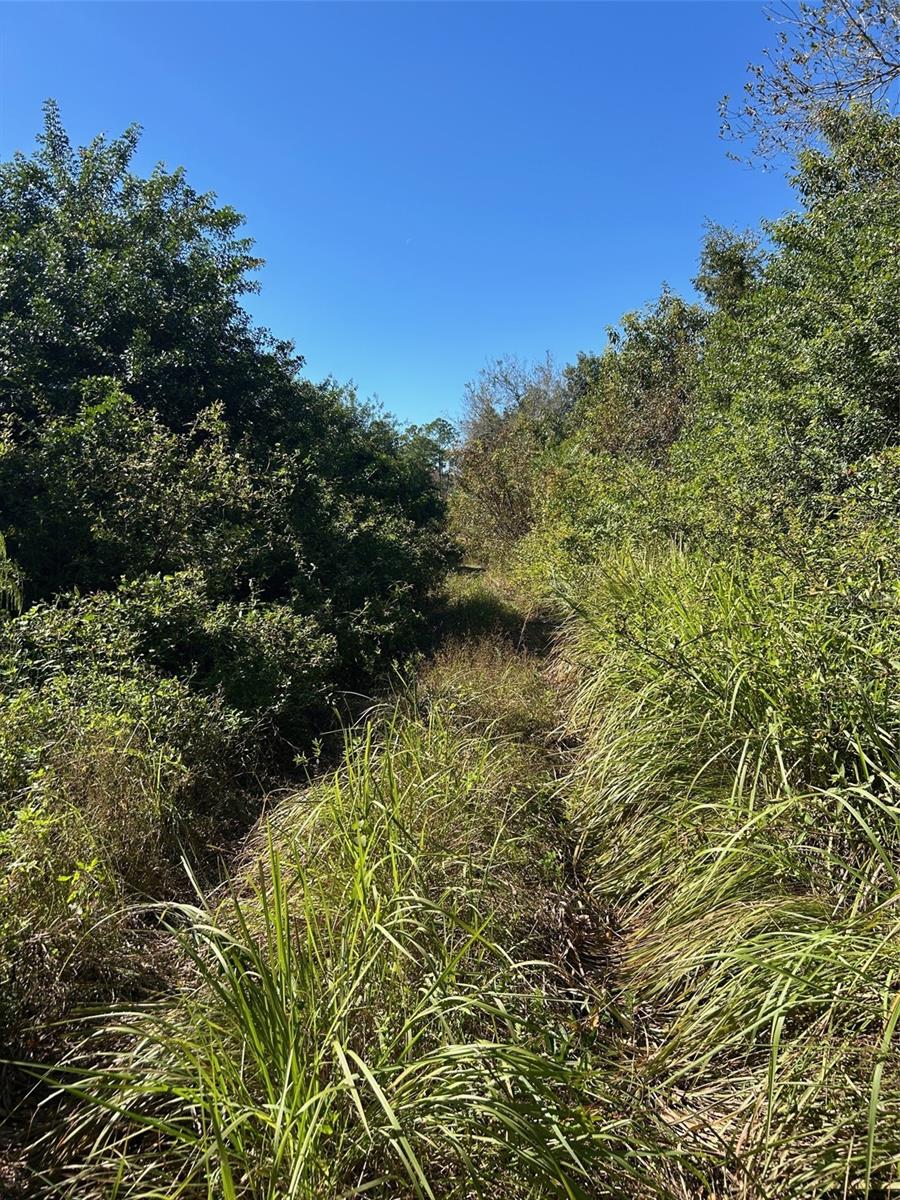 ACREAGE HEADER - Land