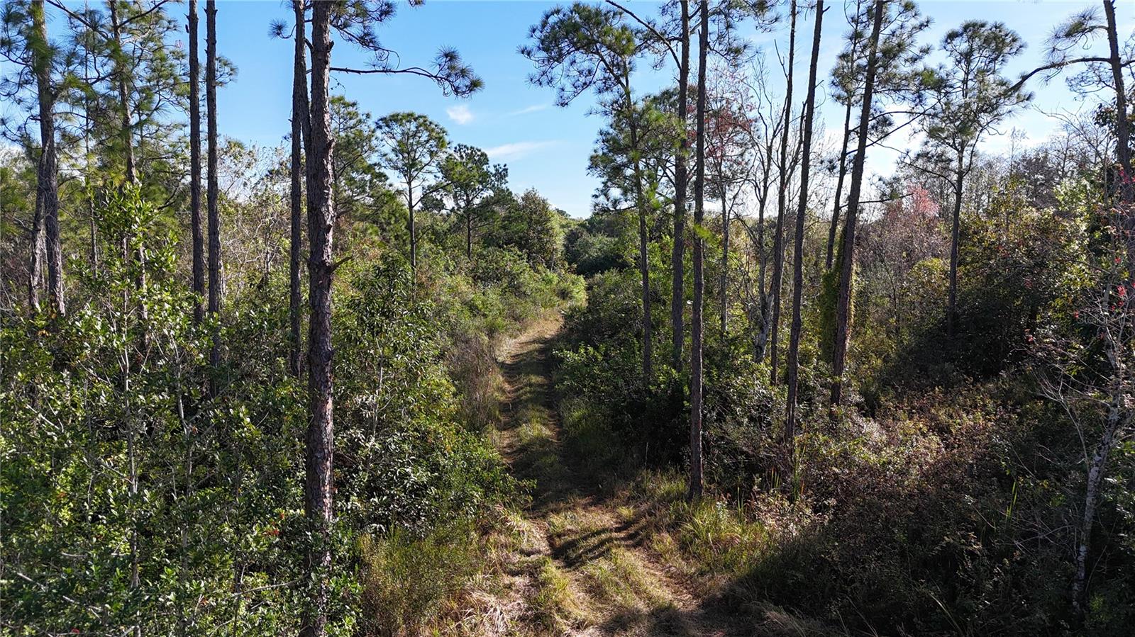 ACREAGE HEADER - Land