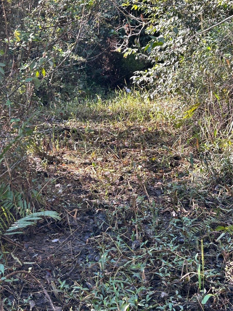 ACREAGE HEADER - Land