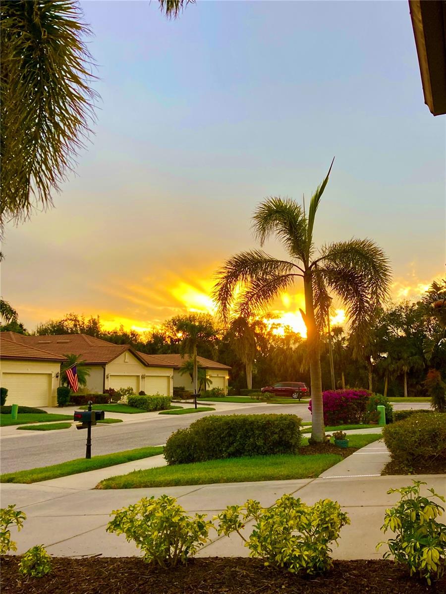 VENETIAN FALLS PH 1 - Residential