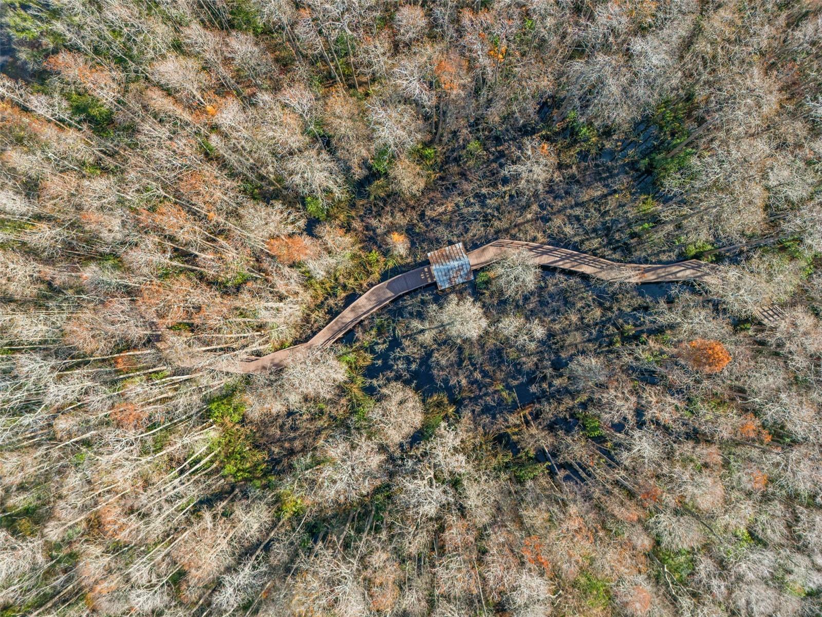 SABAL AT WYNDTREE - Residential