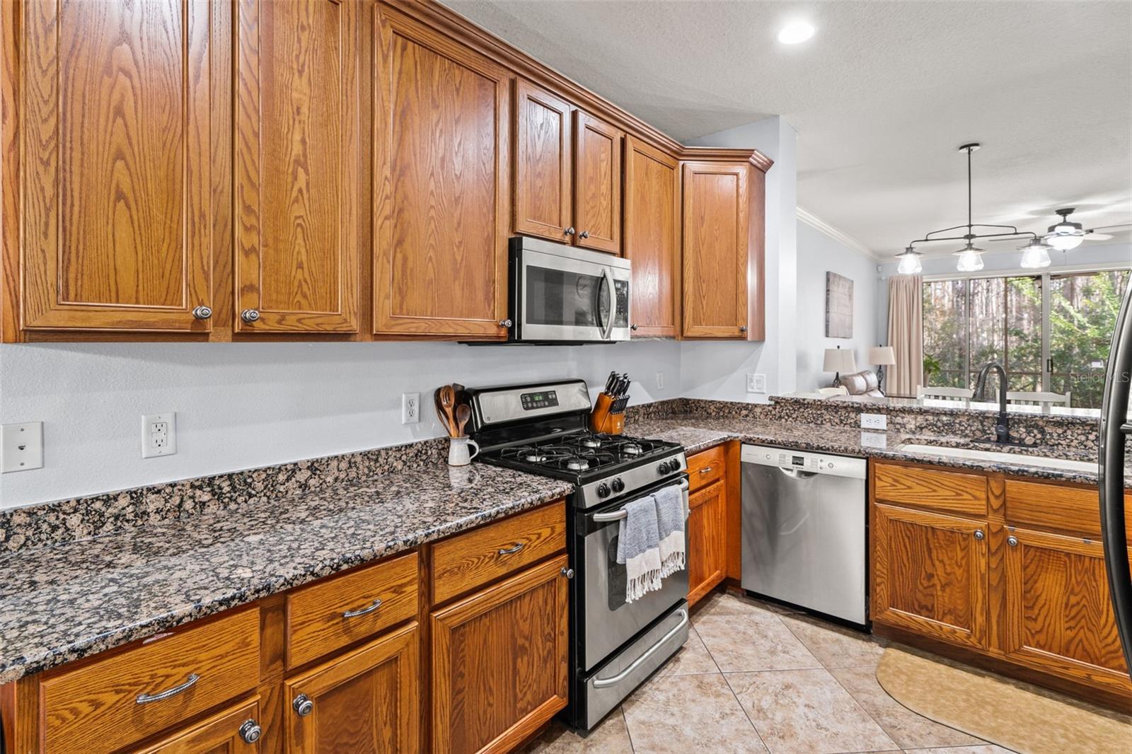 SABAL AT WYNDTREE - Residential