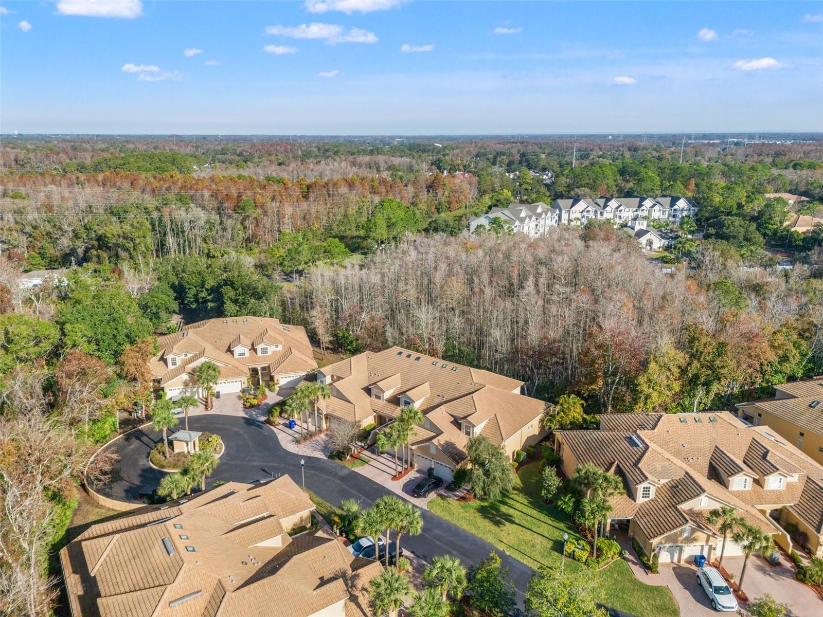 SABAL AT WYNDTREE - Residential