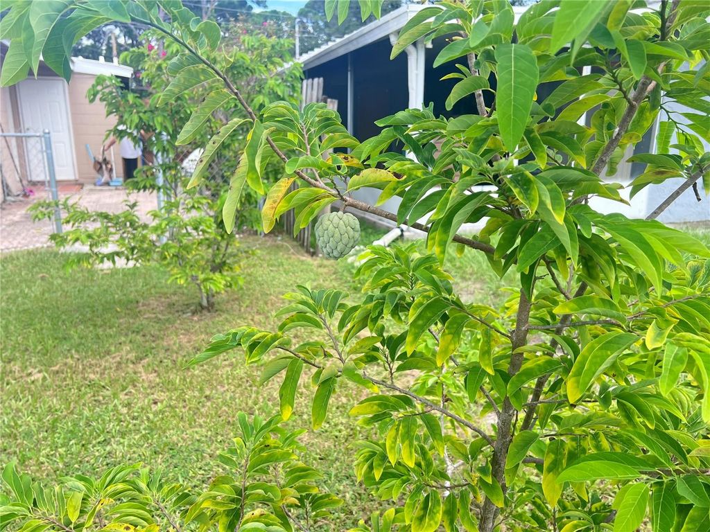 Photo of 3612 71st Street N, St Petersburg, FL 33710 (MLS # TB8424947)