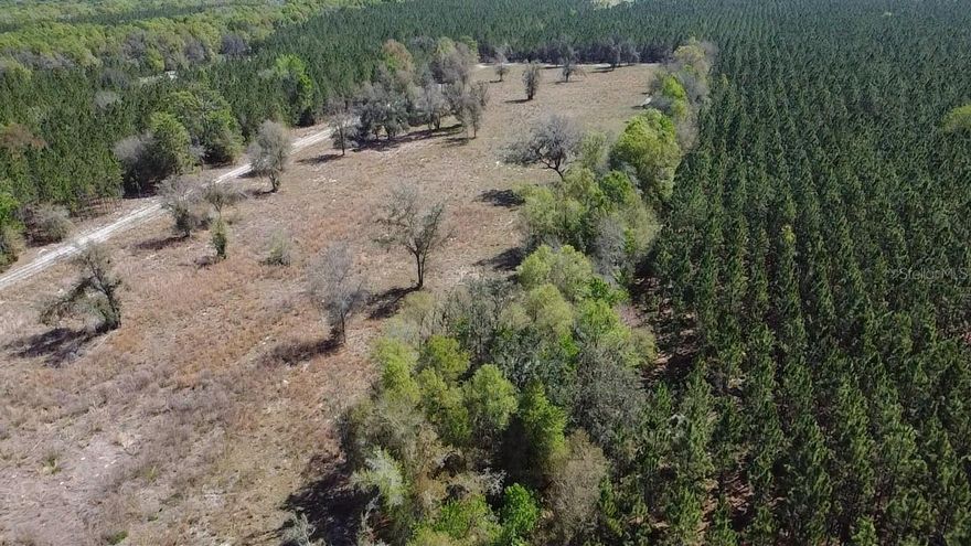 Discover the perfect blend of open space and natural beauty with this 17-acre property in Ft. White, FL! Featuring approximately 10 acres already cleared and ready to build, this land offers an ideal setting for your dream home, farm, or investment property. The remaining 7 acres are covered with mature pine trees, providing both privacy and a valuable natural resource.

An added bonus—these pines can generate yearly income from pine straw (pine needles), and in the future, the timber itself can be sold to a harvesting company if desired. Whether you’re looking for a homesite, recreational land, or a long-term investment, this property offers incredible versatility.

The cleared portion is perfect for building and is suitable for farm animals, giving you the freedom to create your own mini farm or homestead lifestyle. With plenty of space to spread out, enjoy peace, privacy, and the beauty of North Florida living.

This is a great price for such a desirable piece of land, and opportunities like this don’t come around often—you don’t want to miss out!

More photos coming soon—better images will be uploaded ASAP!