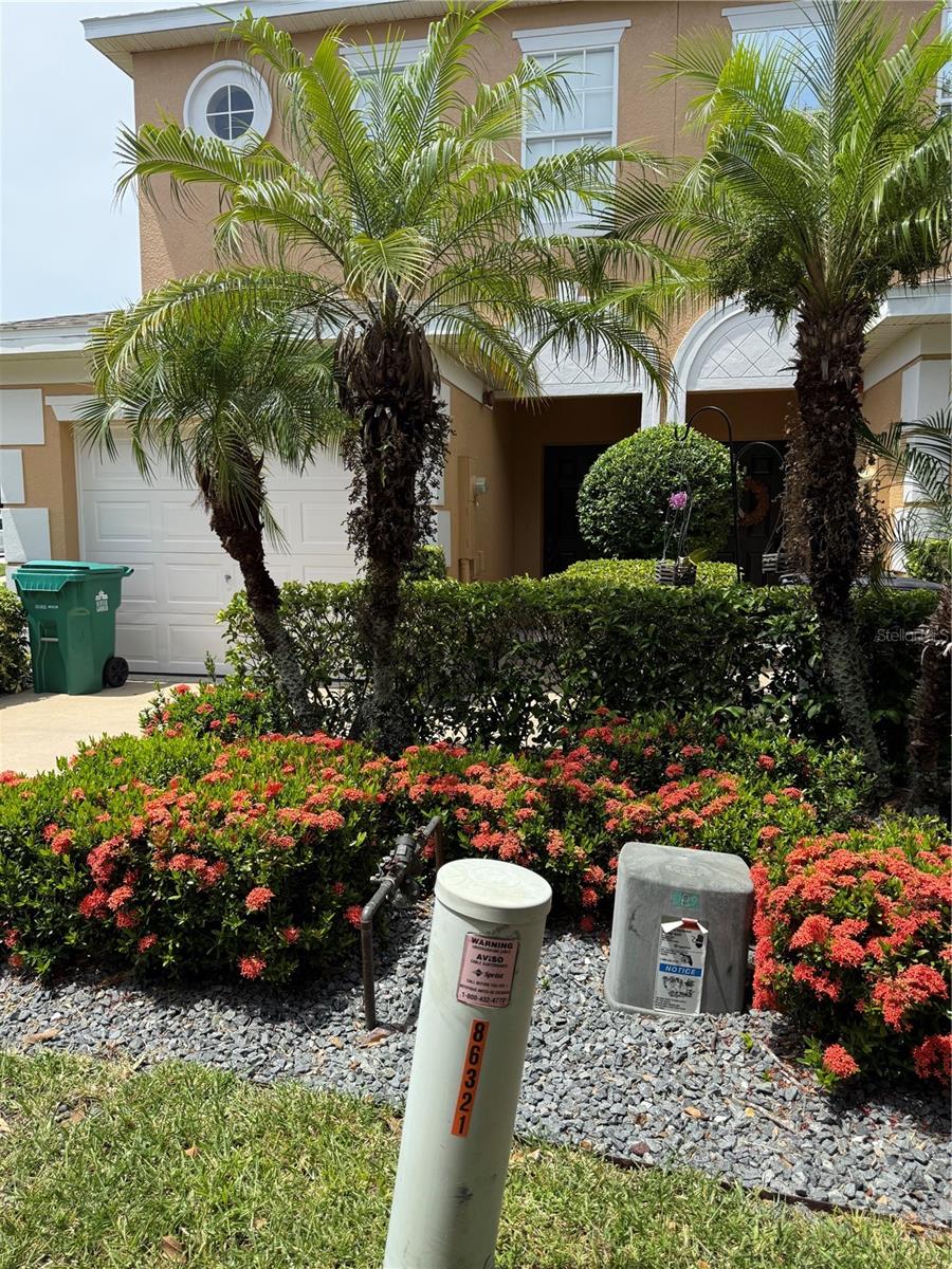 Great location corner townhouse , 3 Bedroom 2.5 bathroom . Gate community, club house with pool , gym ,kitchen ,playground, close to Winter Garden downtown ,beautiful trails for walking ,biking excellent schools, the dinning experience is ! Delicious !