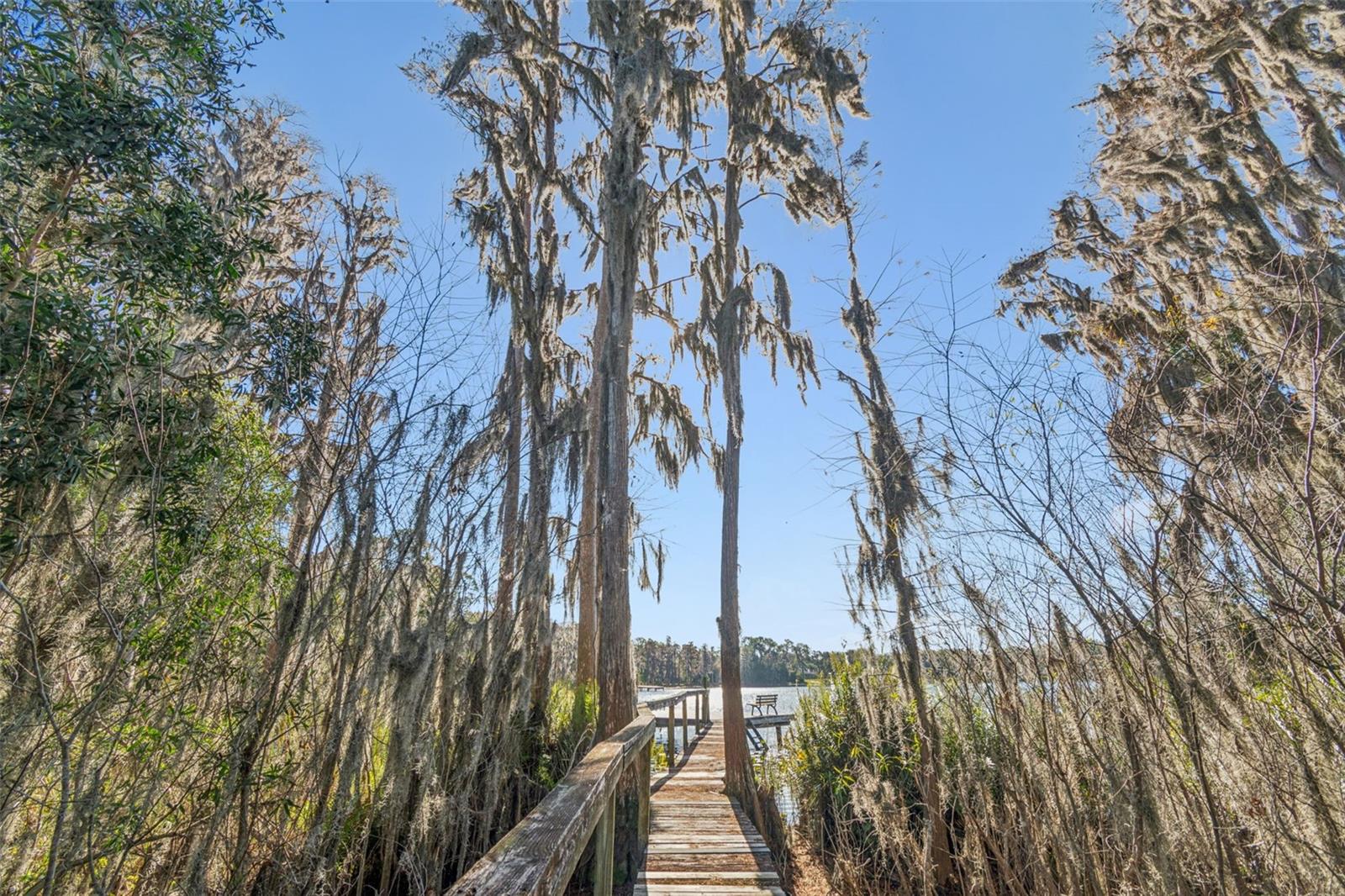 THE NEST - Residential