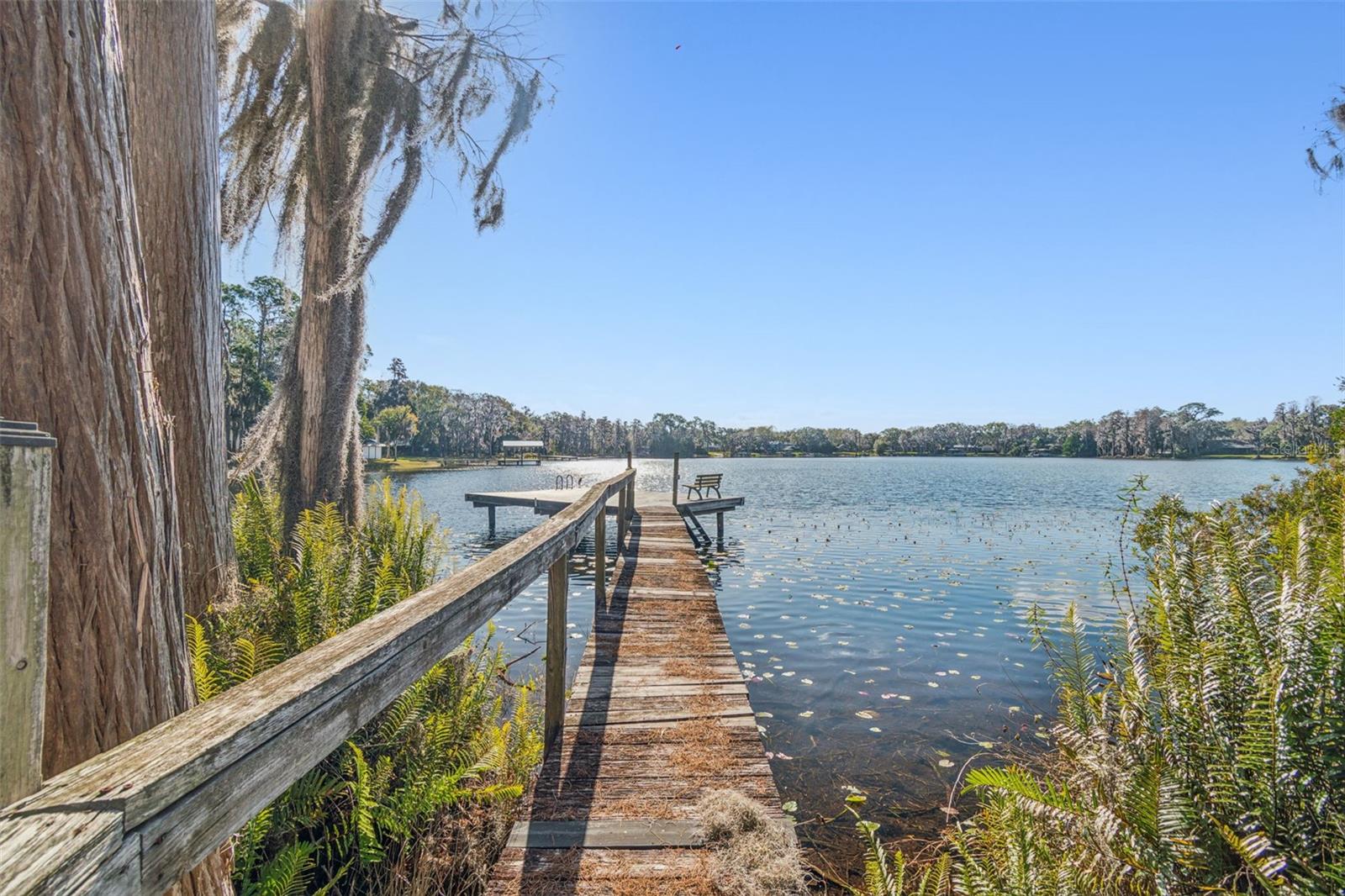 THE NEST - Residential