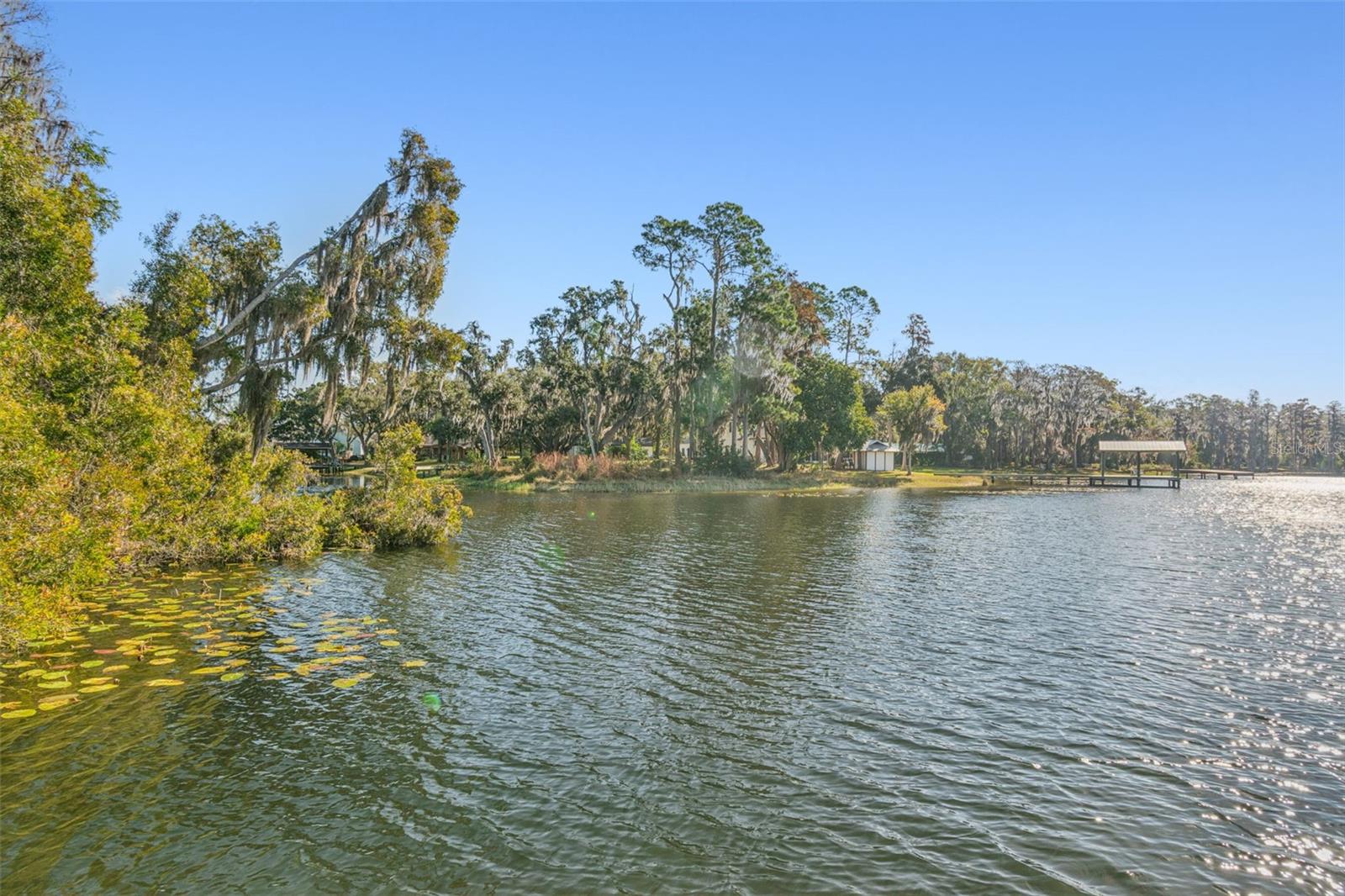 THE NEST - Residential