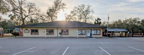 Photo of 25541 Sorrento Avenue, Sorrento, FL 32776 (MLS # O6397175)