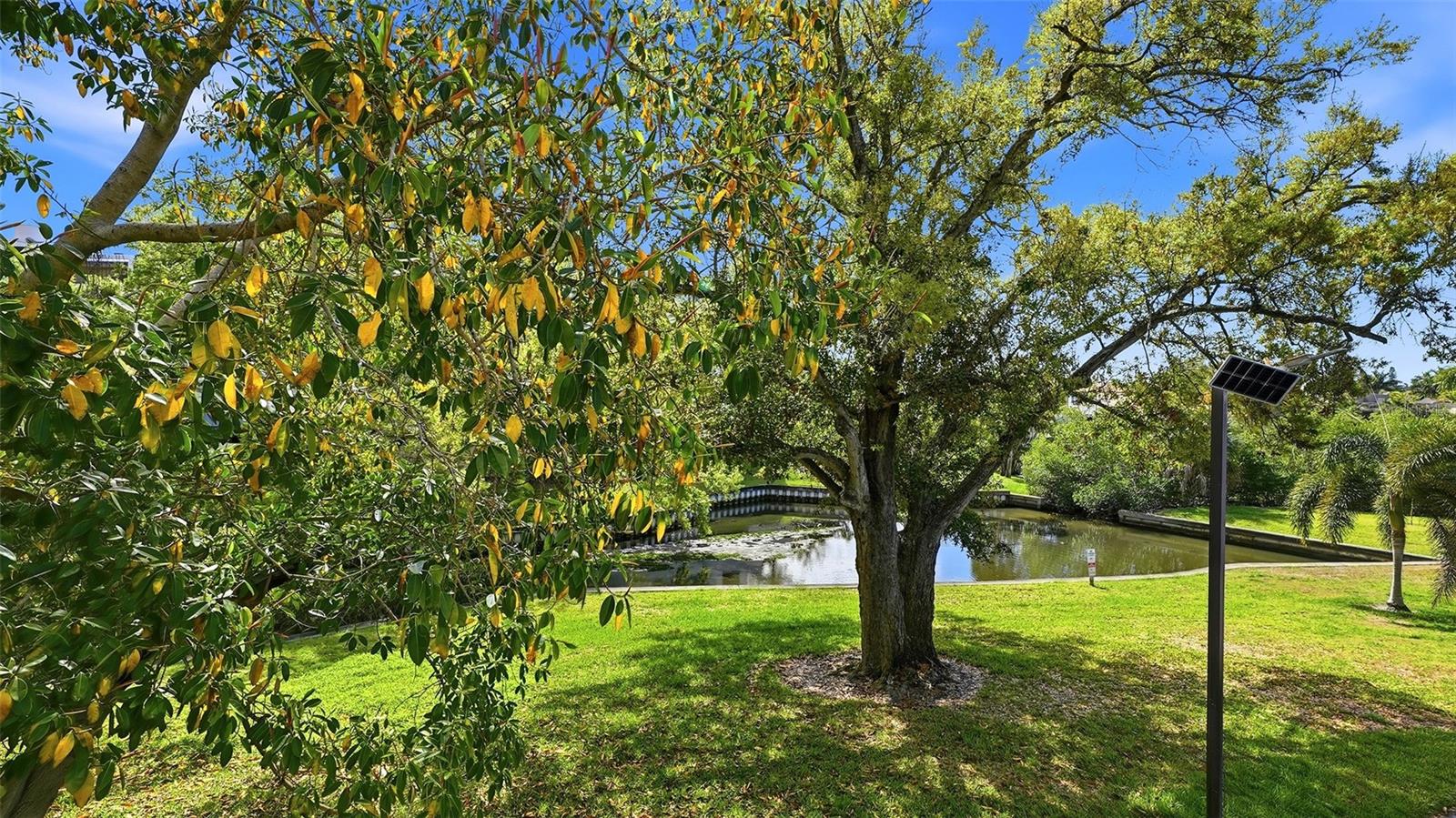 CENTRAL PARK - Residential