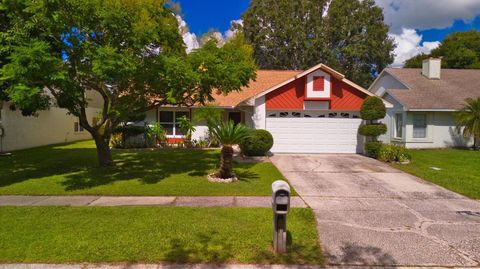 A home in BRANDON