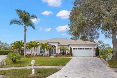 Photo of 723 Waterside Court, Tarpon Springs, FL 34689 (MLS # TB8479493)