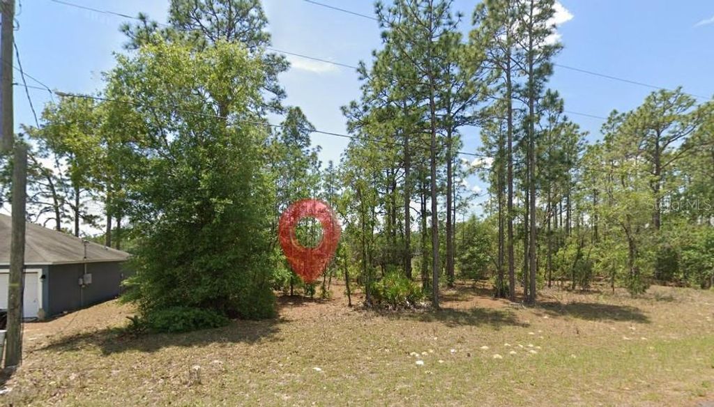 Photo of 532 W Glenhaven Drive, Citrus Springs, FL 34434 (MLS # TB8500809)