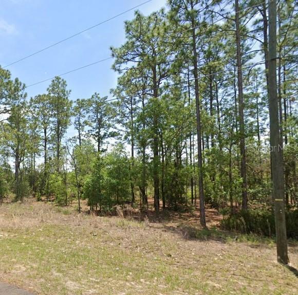 532 W GLENHAVEN DRIVE