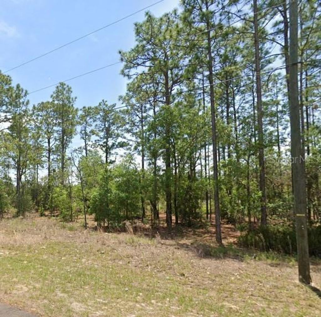 Photo of 532 W Glenhaven Drive, Citrus Springs, FL 34434 (MLS # TB8500809)