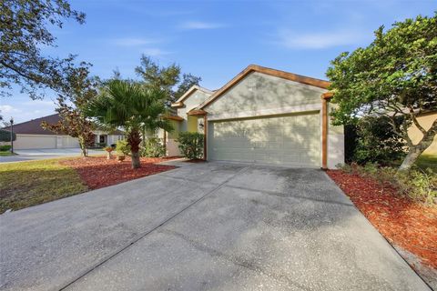 489 OAK LANDING BOULEVARD MULBERRY FL 33860