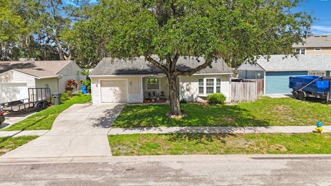 A home in TAMPA