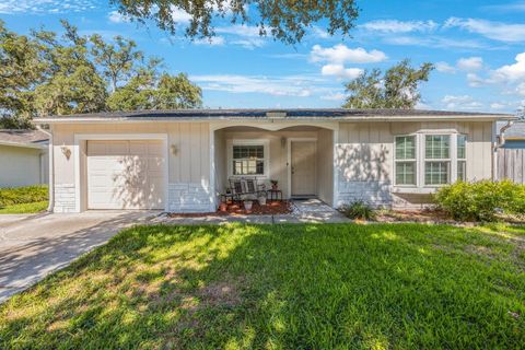 A home in TAMPA