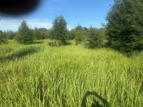 Photo of Welcome Road #Lot 1, Lithia, FL 33547 (MLS # L4964960)