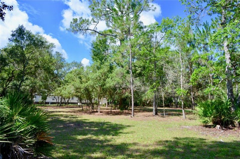 Tiny photo for 33135 Forest Ridge Road, Deland, FL 32720 (MLS # V4949803)