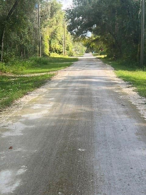 ELAINE DRIVE