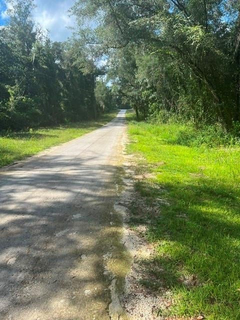 ELAINE DRIVE
