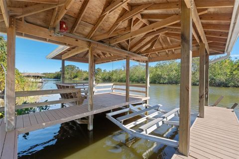 A home in LADY LAKE