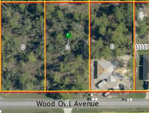 Photo of 00 Wood Owl Avenue, Weeki Wachee, FL 34614 (MLS # TB8449021)