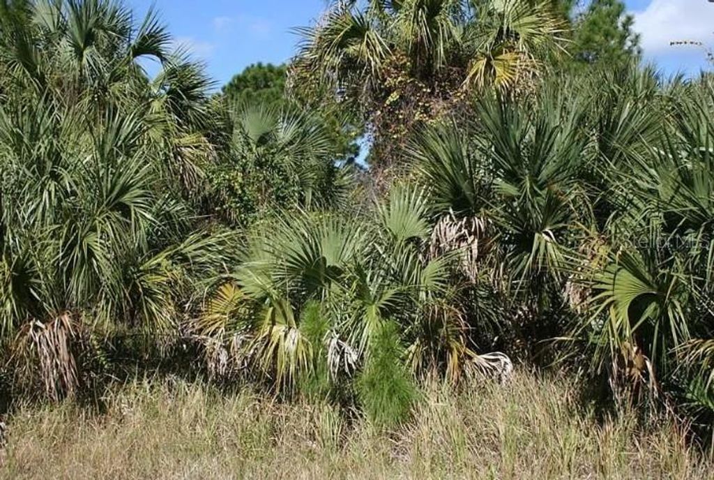 Photo of 281 Farmington Street SW, Palm Bay, FL 32908 (MLS # OM711879)